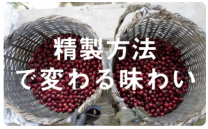 スペシャルティコーヒー通販-PostCoffee-ポストコーヒー--10-27-2025_09_47_PM3